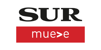 Diario Sur
